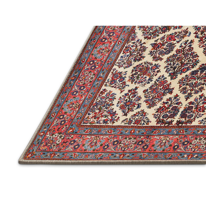 Brun traditionnel/noir/crème Tapis décoratif, Rectangle 5 pi x 8 pi