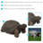 Martinez-Wilson Tortoise Statue