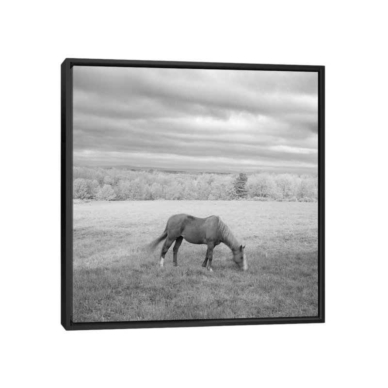 « solitaire », photographie sur toile, H 18 po x l 18 po x P 1,5 po, Toile encadrée noire, Pas de tapis