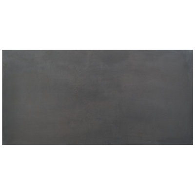 Fuse 24" x 48" Matte Porcelain Metallic Look Floor & Wall Tile (15.49 sq. ft./ box)