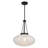 Willow 1-Light Pendant in Matte Black-756342831