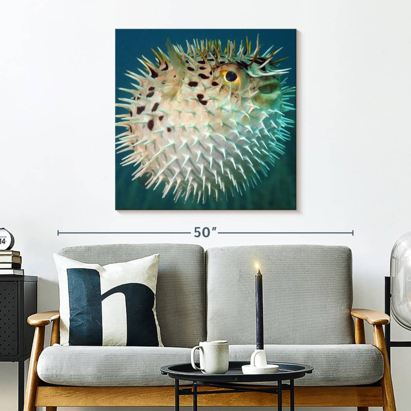 Brampt Puffer Fish, 30" H x 30" W