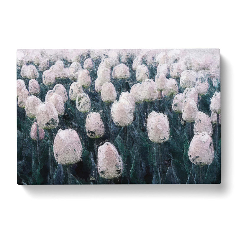 Field Of White Tulips - Wrapped Canvas Painting, 35cm H x 50cm W x 3cm D