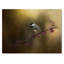 Vidur «Chickadee in the Golden Light», impression sur toile tendue-22073854