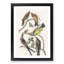 Flycatcher Birds by John Audubon - Framed Print-55576238-55576242