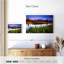 Alvord Vivid Schwabacher Landing Sunrise-107834307