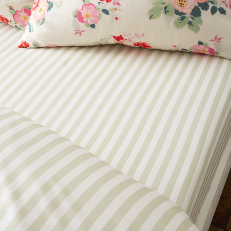 Canopy Stripe Cotton Fitted Sheet, Single