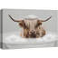 Vache «Drôle de salle de bain», «Shetland Cow», impression sur toile encadrée-119598466-93629069-93629070