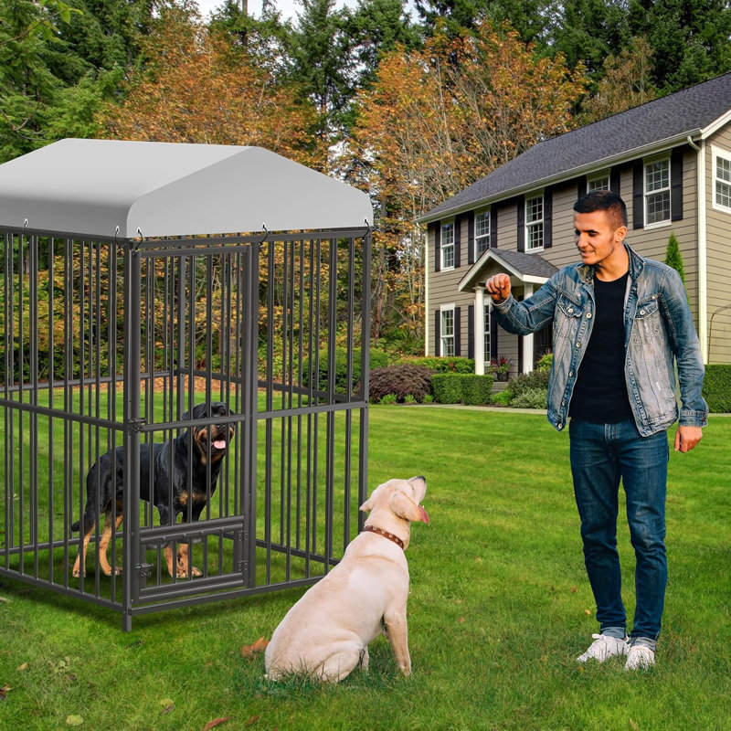Dog House