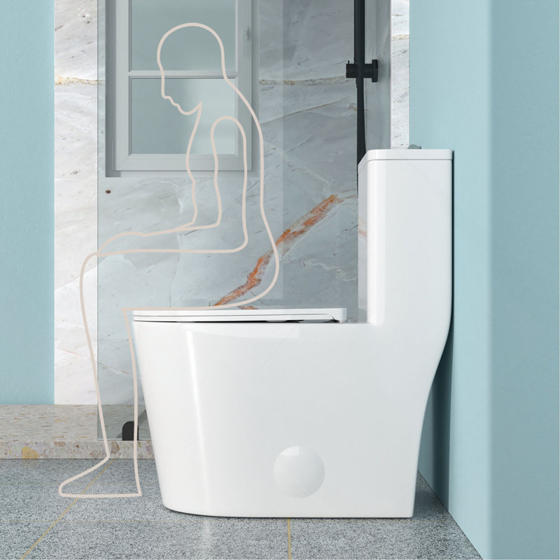 Toilette monobloc en céramique pour salle de bain, brute de 12 po, 1,1 / 1,6 GPF, double chasse avec siège à fermeture en douceur, double chasse puissante CARTE 800 g