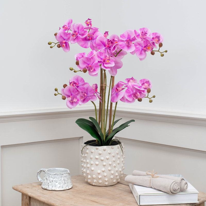 Arrangement