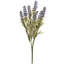 Arrangement-910012444