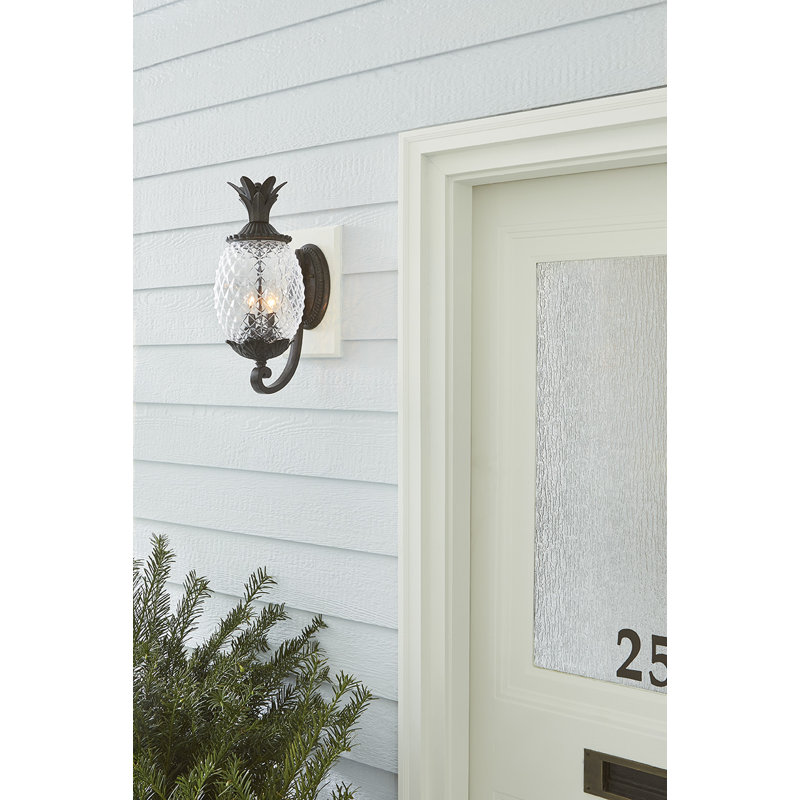 Lanterne murale d'extérieur à 2 ampoules H 18 po Arlesey, Corail noir