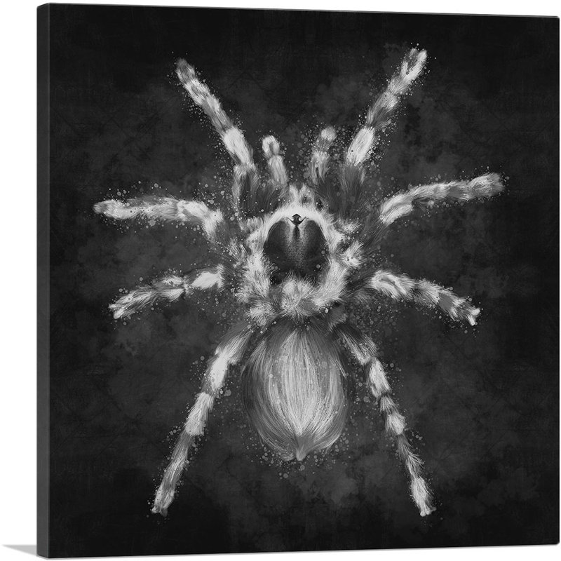 Tarantula araignée noir et blanc - reproduction d'art sur toile tendue, H 18 po x l 18 po x P 0,75 po