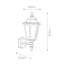 Favina Black 39cm H Outdoor Wall Lantern