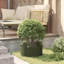 Garden Planters 5 Pcs 20 Cm Steel-1878025844-1878025847