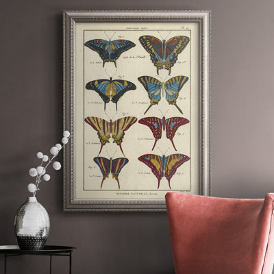 " Histoire Naturelle Butterflies VI "