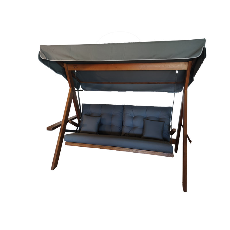 Chaniyah 3 Person Porch Swing with Canopy