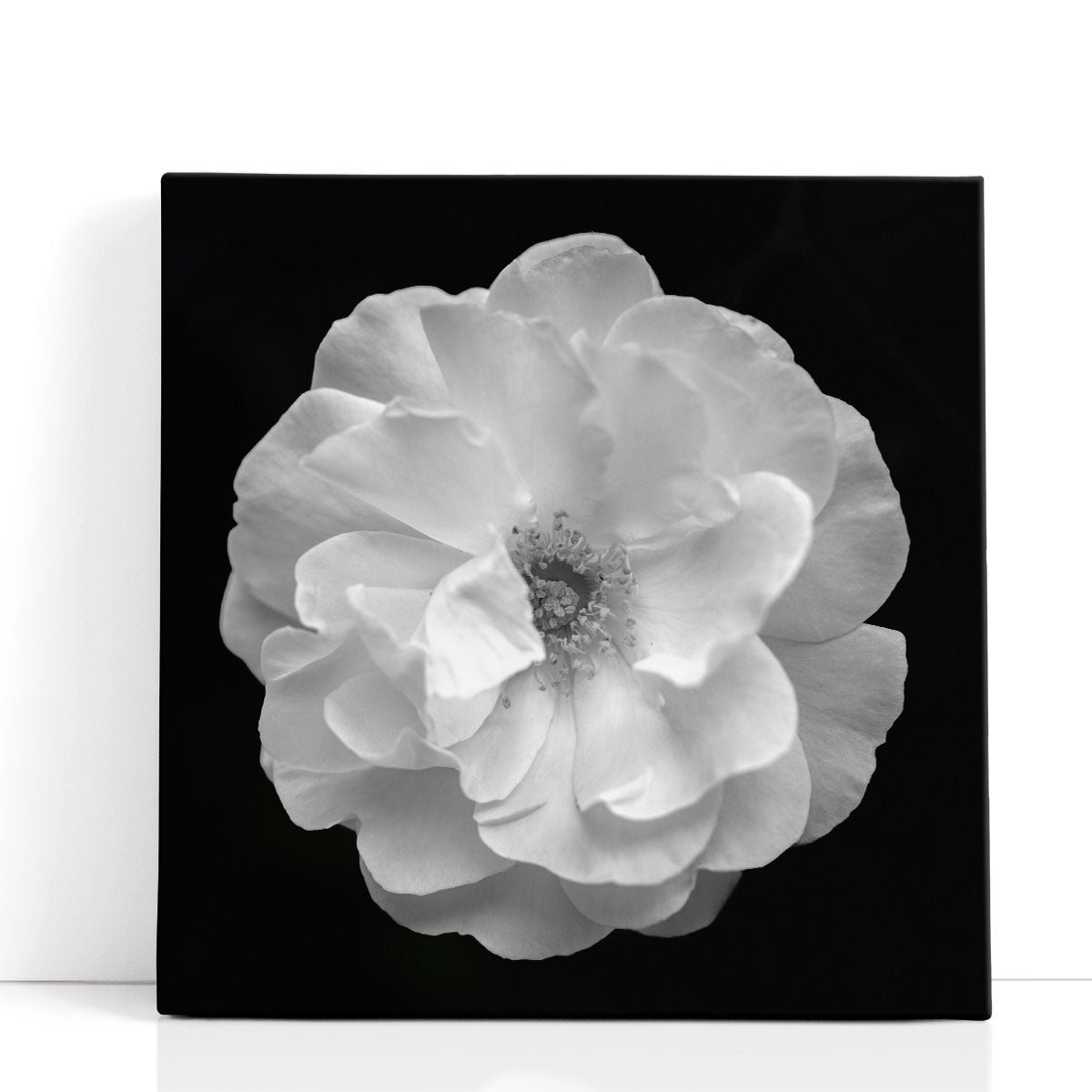 Ebern Designs Rose - Canvas Print Wall Art | Wayfair