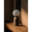 Steel Desk Lamp
