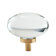 Clear/Champagne Bronze
