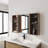 Bathroom Mirror with Storage Combination
