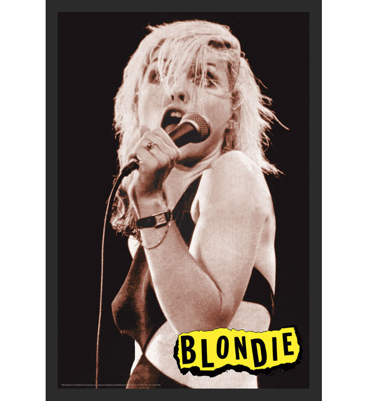 Blondie Live On Stage, reproduction d'art encadrée