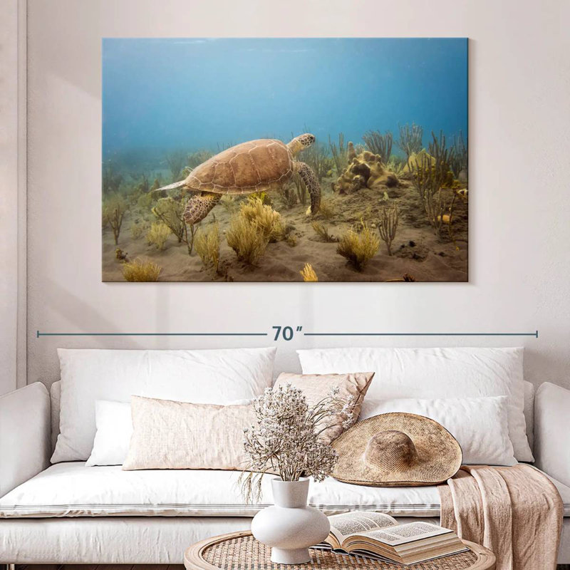 Turtle Swimming Underwater