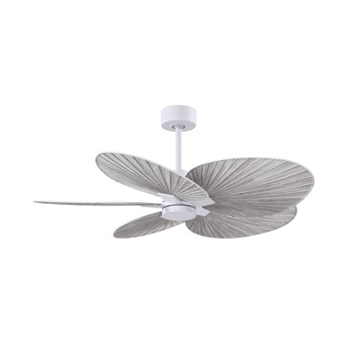 Alessandra - Five Blade Ceiling Fan
