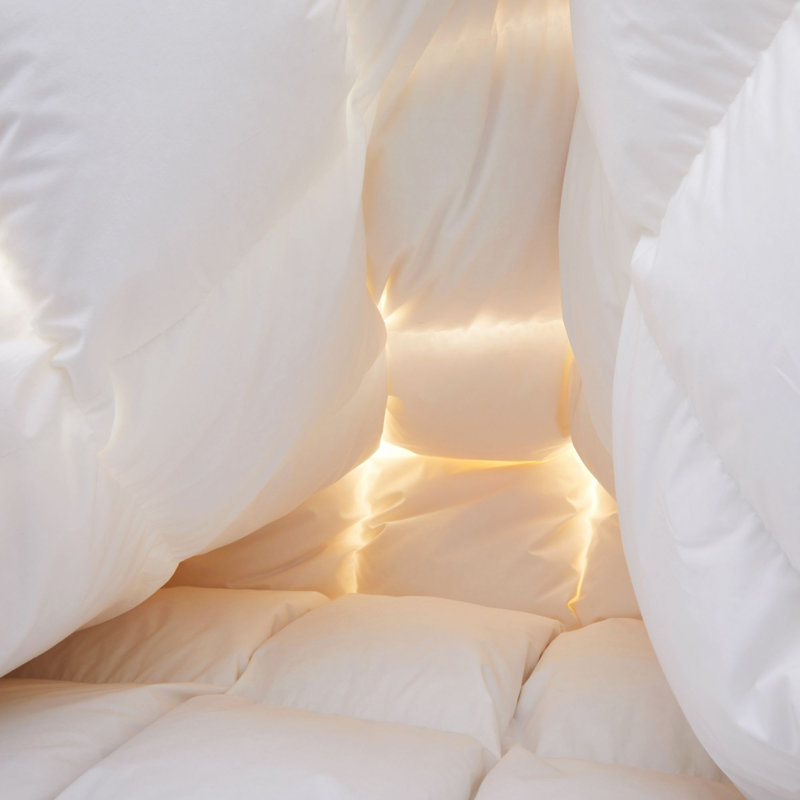 Édredon 100% coton duvet d'oie européen, Simple