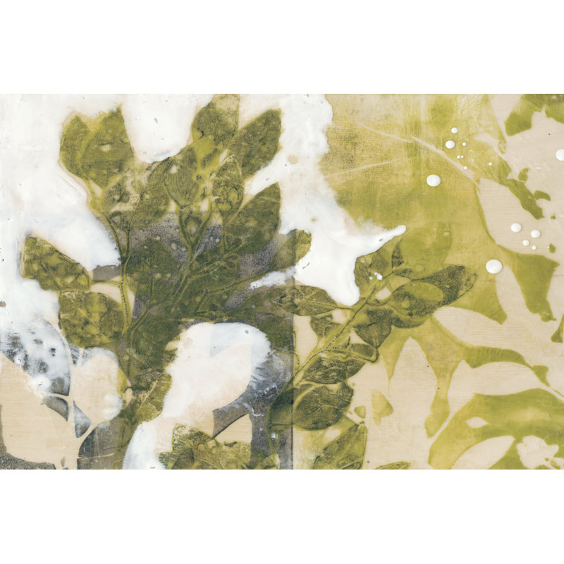 Leaf Spray II - Wrapped Canvas Art Prints, 30cm H x 46cm W x 3.8cm D