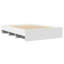 Ashwika Storage Bed-2113735940-2113735938