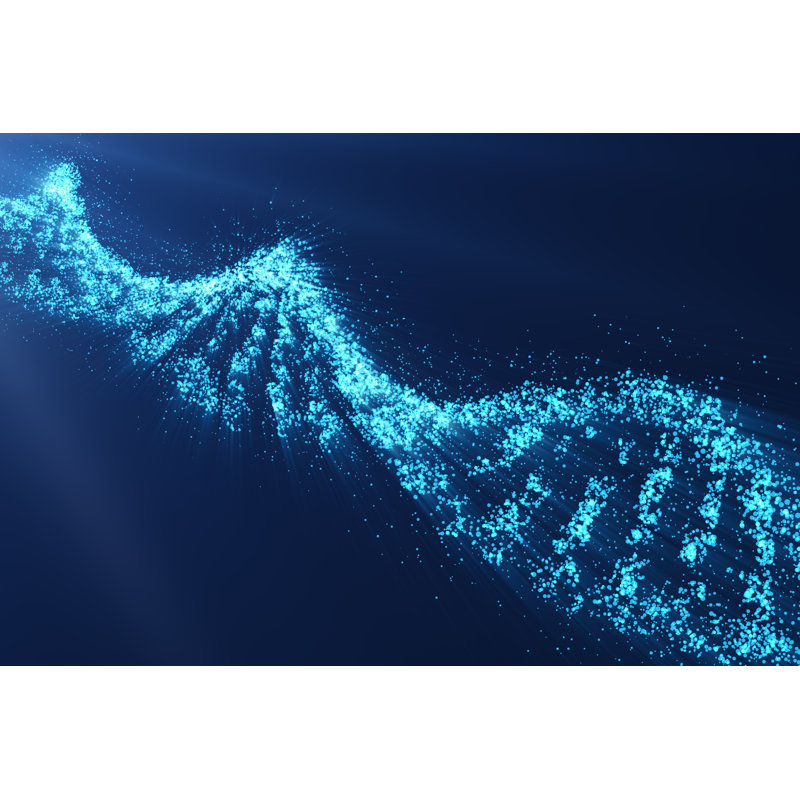 Rotating DNA - Wrapped Canvas Print, 81cm H x 122cm W x 3.8cm D