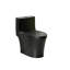 Toilette allongée une pièce à double chasse 1,1 / 1,6 GPF ADA avec siège à fermeture douce, chasse 1000G-121551716