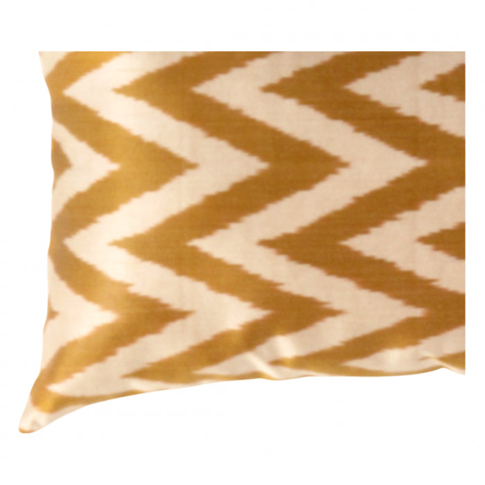 Coussin en velours réversible, H 16 po x l 24 po, Or