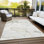 Alfonzo Machine-Washable Stain Resistant Abstract Area Rug