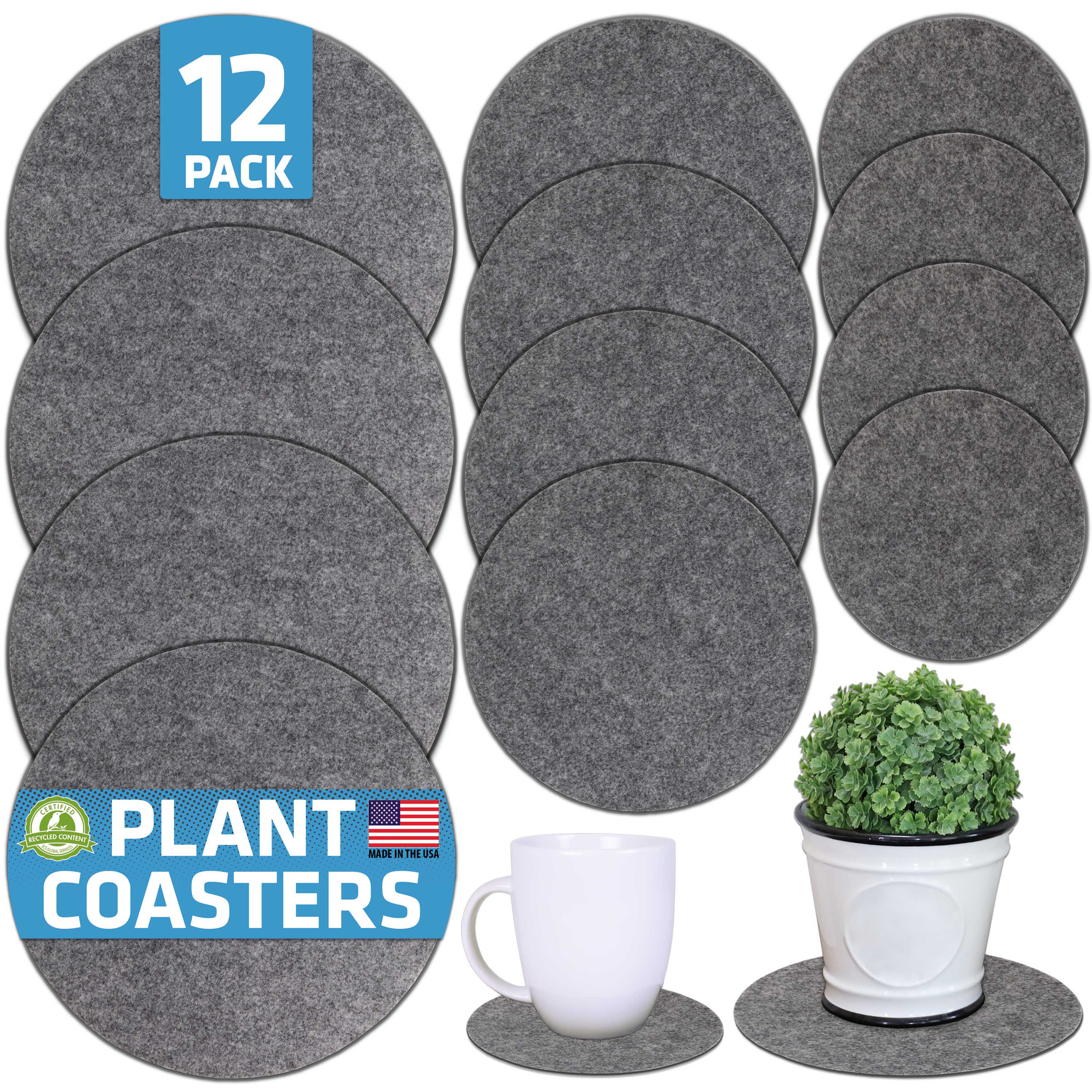 silver anouk lavender plant Lavender Anouk White