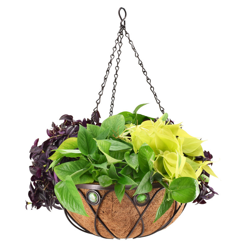 Pot à fleurs suspendu en métal Rodden, H 5,24 po x l 16,34 po x P 16,3 po