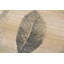 Rabayda Floral Area Rug-16757309