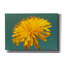  «Yellow Micro Sun Floral 1» par Life BeautifuLEE, art mural sur toile, 26 po x 18 po-1959879644