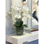 Phalaenopsis Floral Arrangement