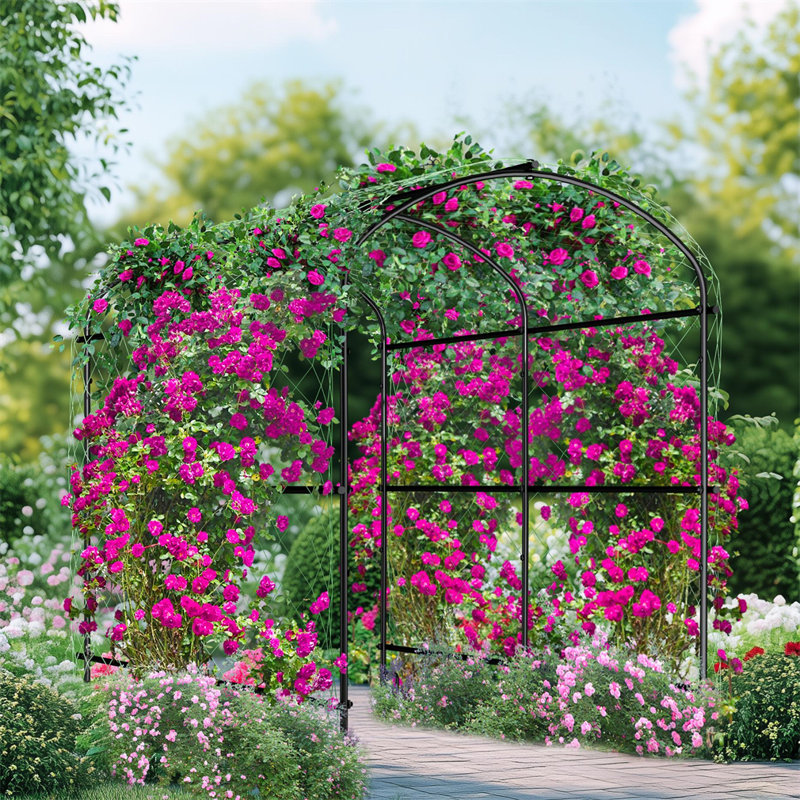 Treillis arqué pour jardin extérieur pour plante grimpante, H 62,99 po x l 41,34 po x P 63,78 po