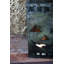  Ensemble de 6 lanternes en métal 13,5 po Jack-O-Lantern
