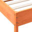 Bed-111024505-111024499