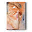 Lighting the Way I - peinture sur toile tendue-1135013908
