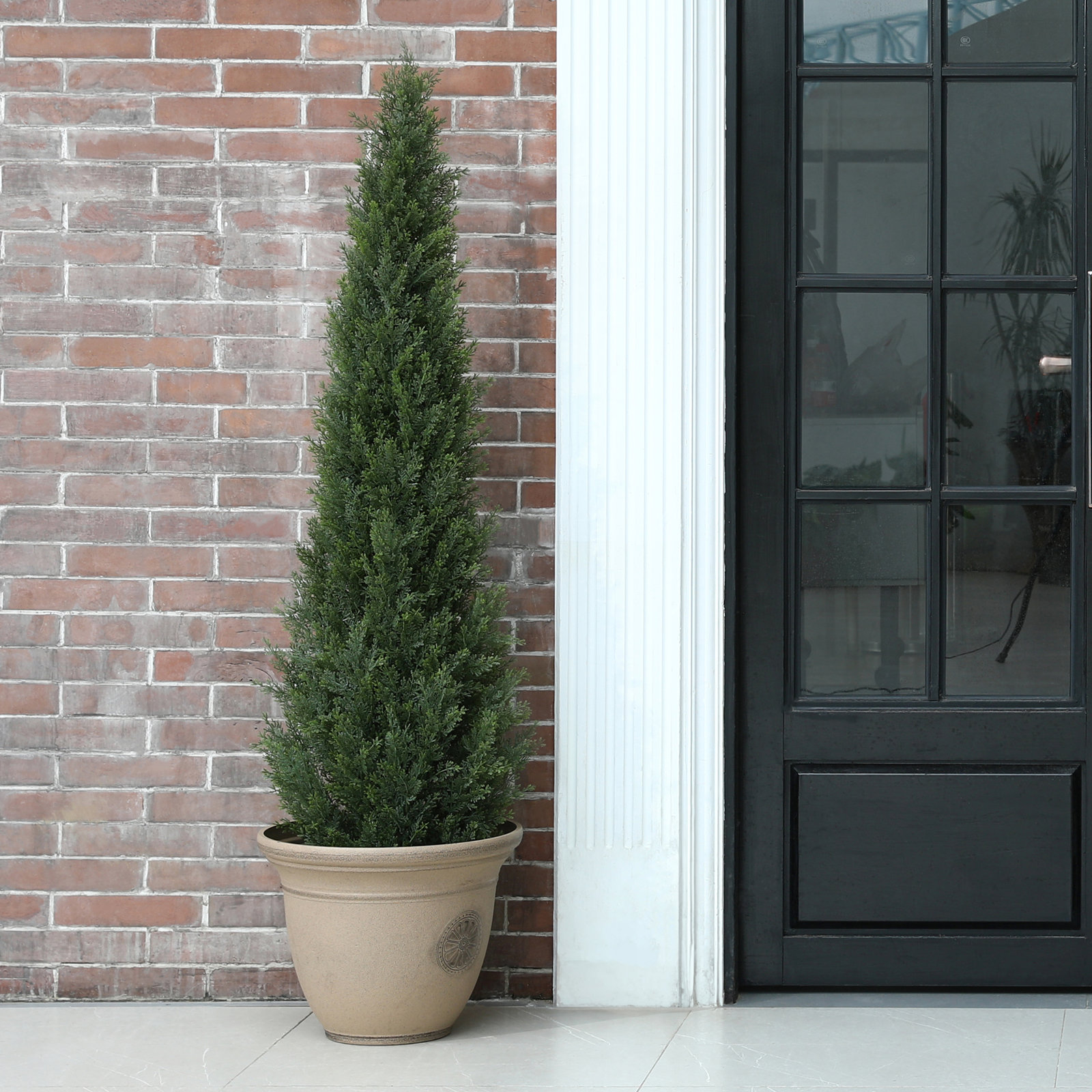 Adcock 60" Cedar Topiary in Pot, 36" H x 12" W x 12" D, 1