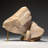 Chalcedony Pseudomorph After Calcite from Aurangabad, Maharashtra, India