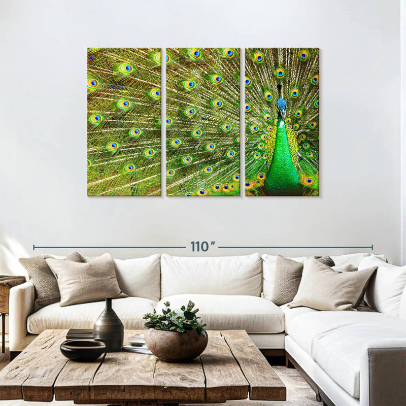 Brampt Showing Off Peacock Feathers, 48" H x 74" W