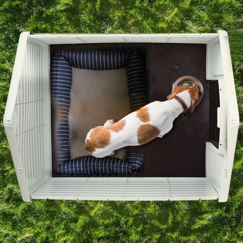 Niche pour chien en plastique Aunyae, Bleu, H 32 po x l 31 po x P 34 po