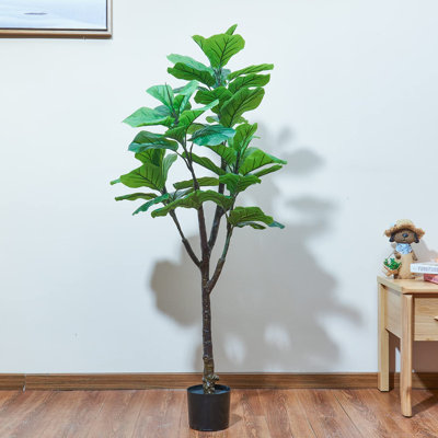 Fiddle Leaf Fig In Pot By Maydear